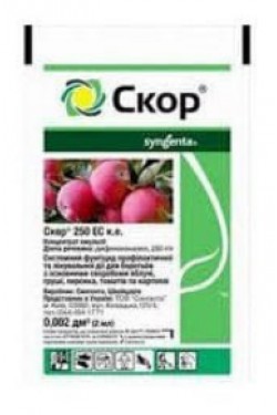 Скор
